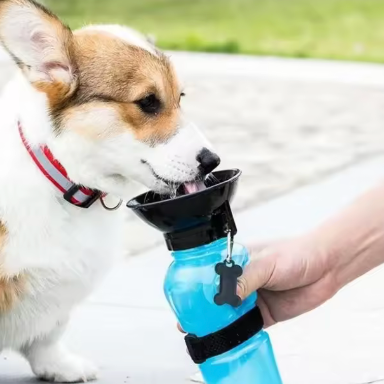 Φορητό Παγούρι Νερού 500ml για Σκύλους & Γάτες – Ιδανικό για Βόλτες & Ταξίδια